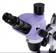 MAGUS Stereo D8T BASE