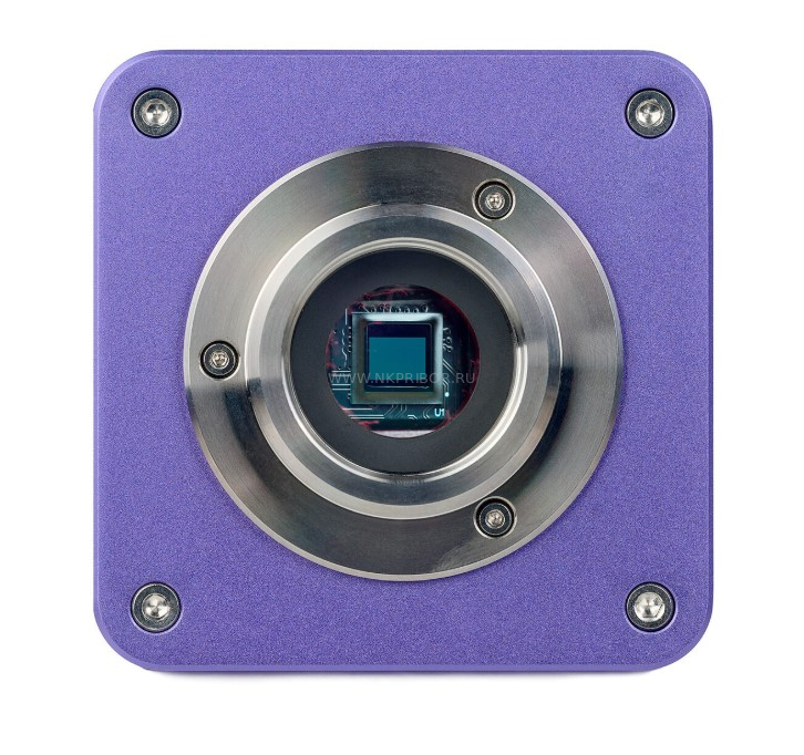 MAGUS Stereo D8T BASE