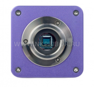 MAGUS Stereo D8T BASE