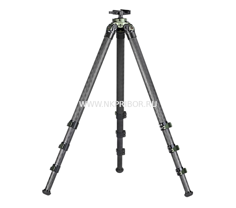 ������ Sunwayfoto T3620CSLI-D Carbon � ������� SM-76 ��� ����